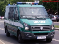 UD 01387 - Volkswagen Crafter / AMZ - Żandareria Wojskowa