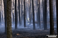 Pożar lasu w Glebie k. Ostrołęki (24.05.2014)