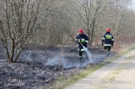 4.04.2014 - Pożar traw, Gostynin ul.Żeromskiego