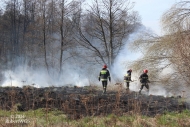 2.04.2014 - Pożar nieużytków - Gostynin , okolice ulicy Ziemowita