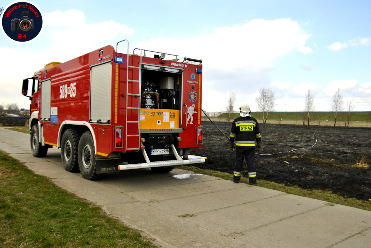 03.04.2020 - Pożarn traw przy ulicy Zbiorowej - Warszawa