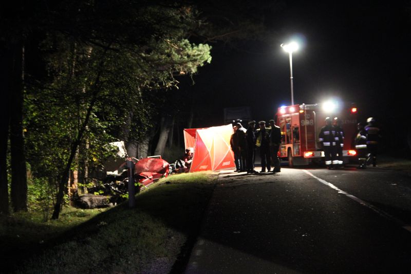 Tragiczne zderzenie z łosiem w Łodziskach (02.10.2013)