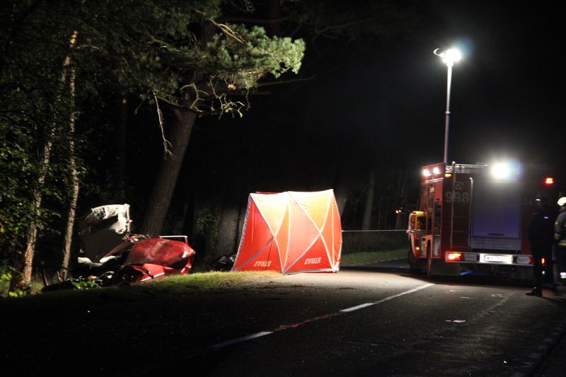 Tragiczne zderzenie z łosiem w Łodziskach (02.10.2013)