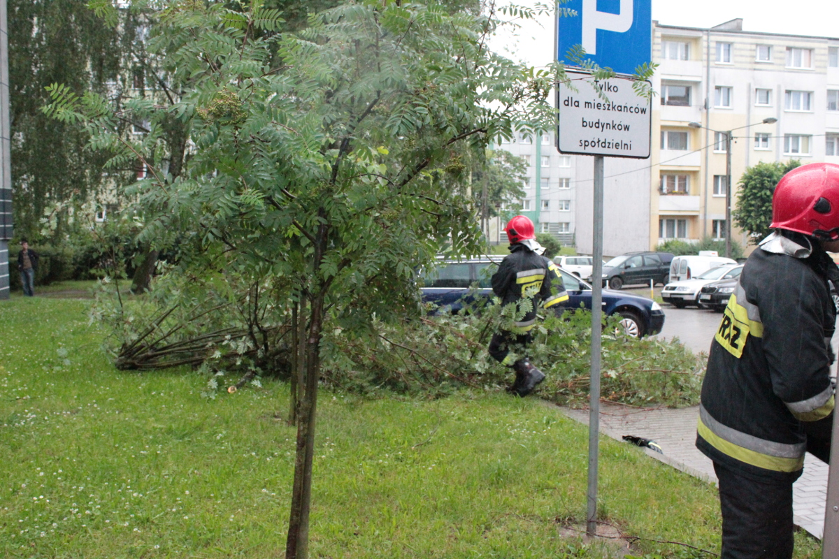 29.06.2017 - Usuwanie skutków nawałnicy - Kościerzyna